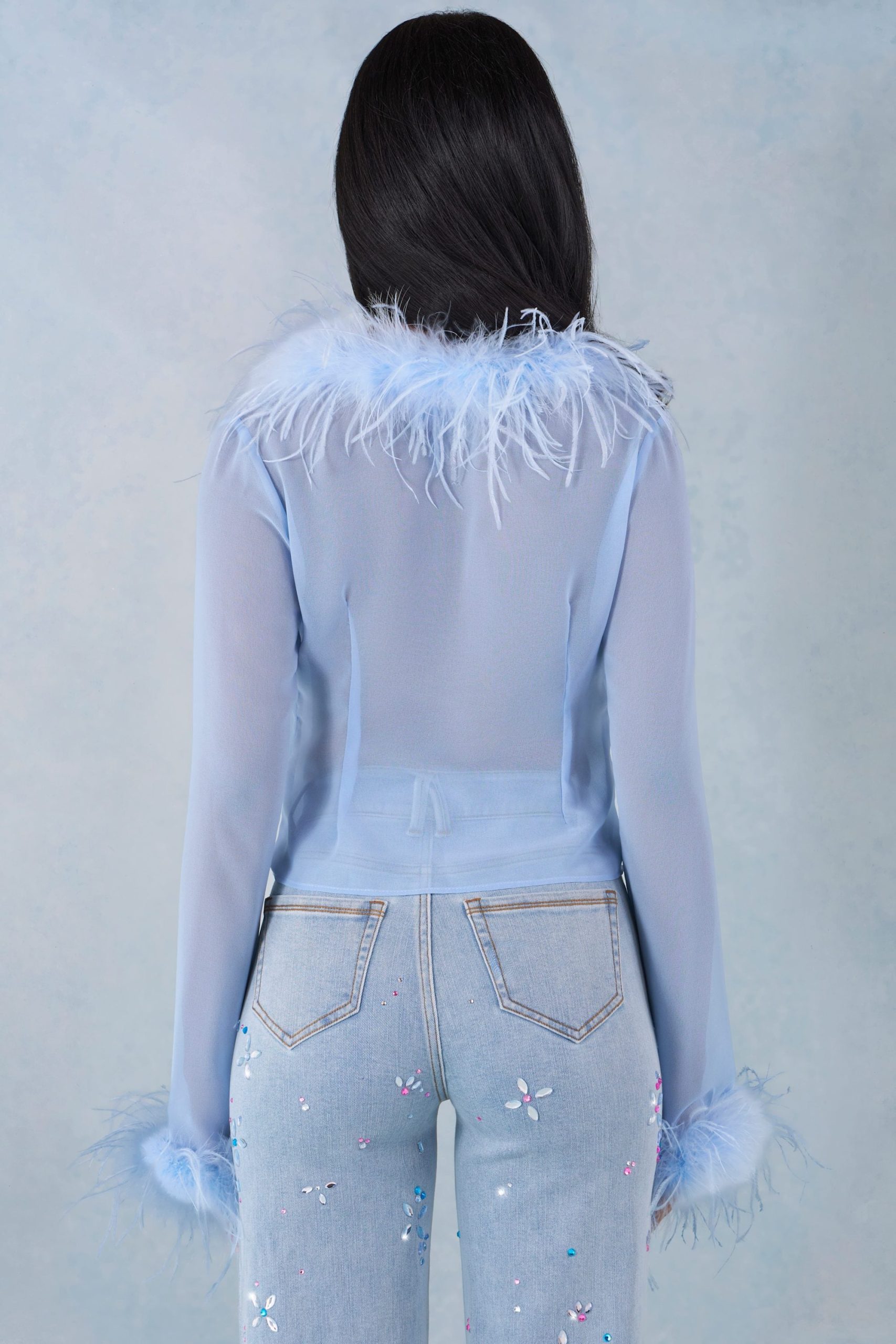 Faux Fur-Trim Sheer Top in Soft Blue - Image 5