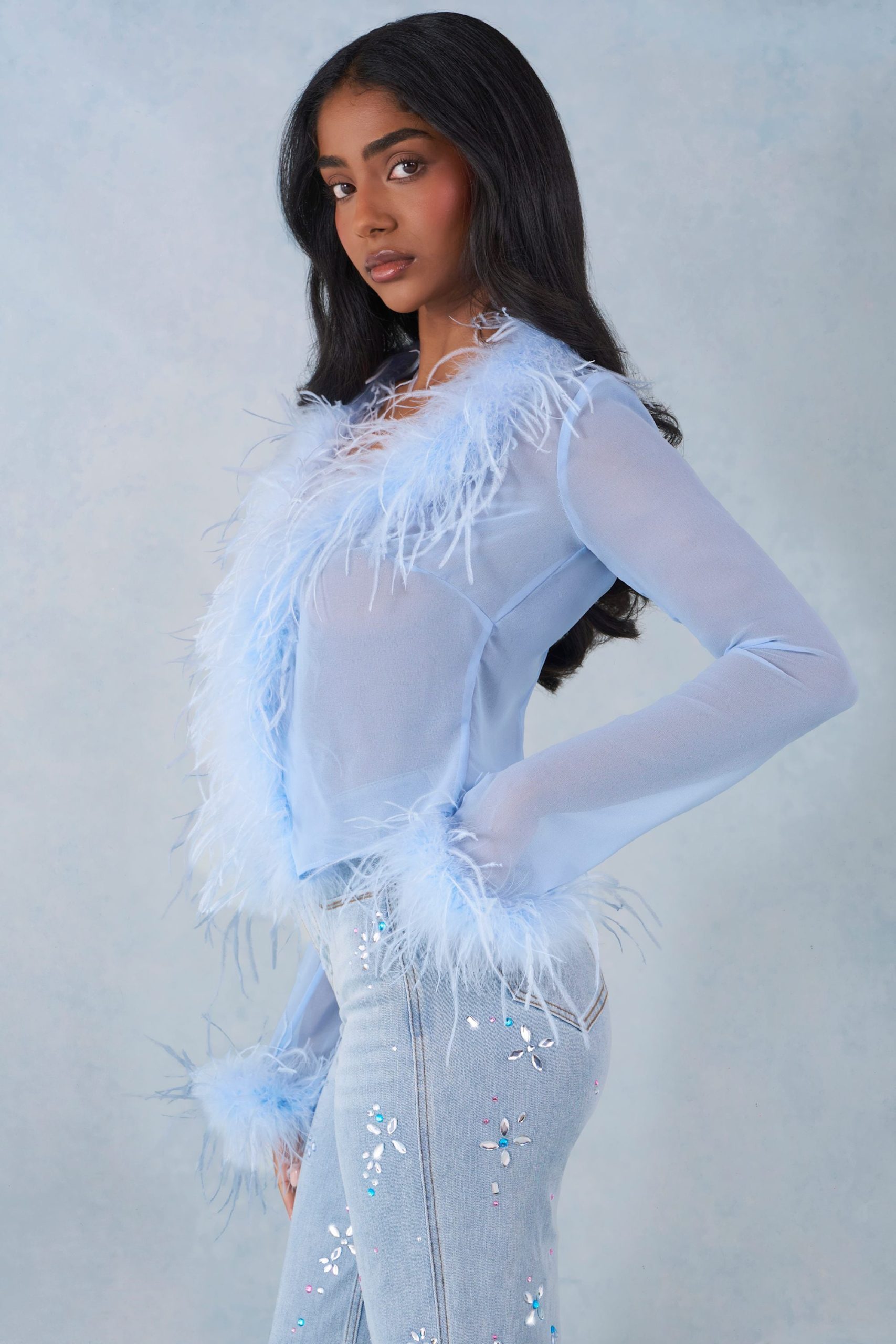Faux Fur-Trim Sheer Top in Soft Blue - Image 3