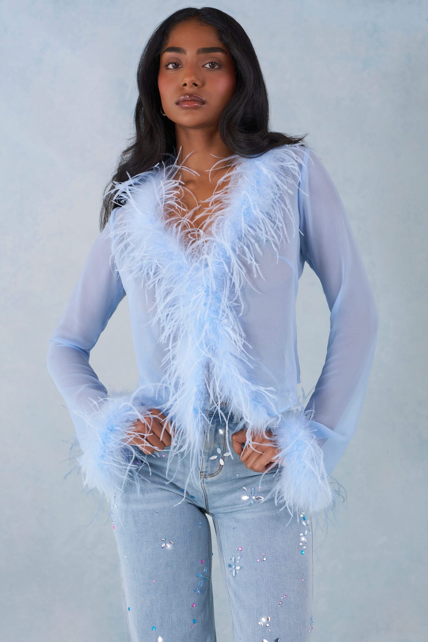 Faux Fur-Trim Sheer Top in Soft Blue - Image 6
