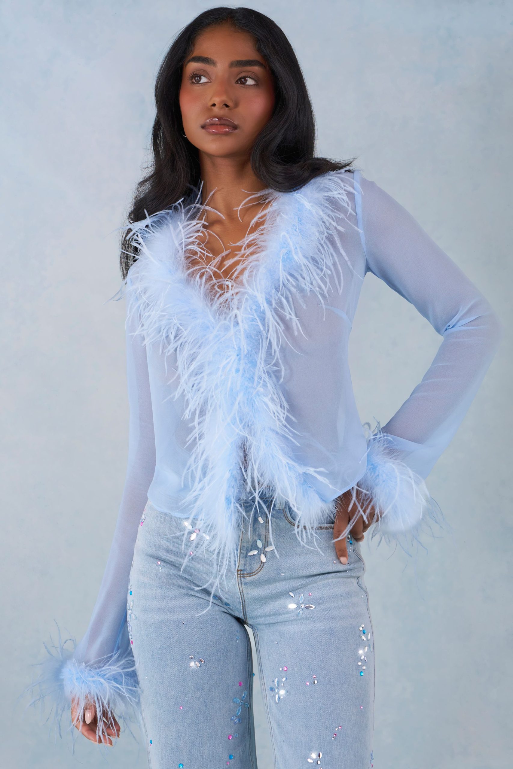 Faux Fur-Trim Sheer Top in Soft Blue - Image 7