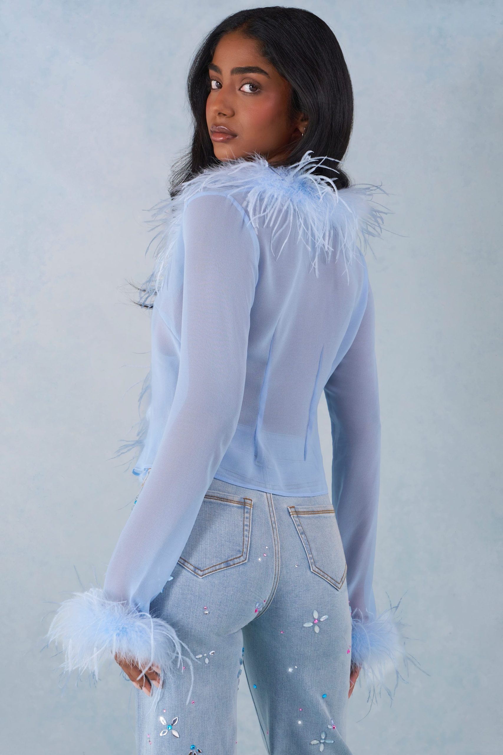 Faux Fur-Trim Sheer Top in Soft Blue - Image 2