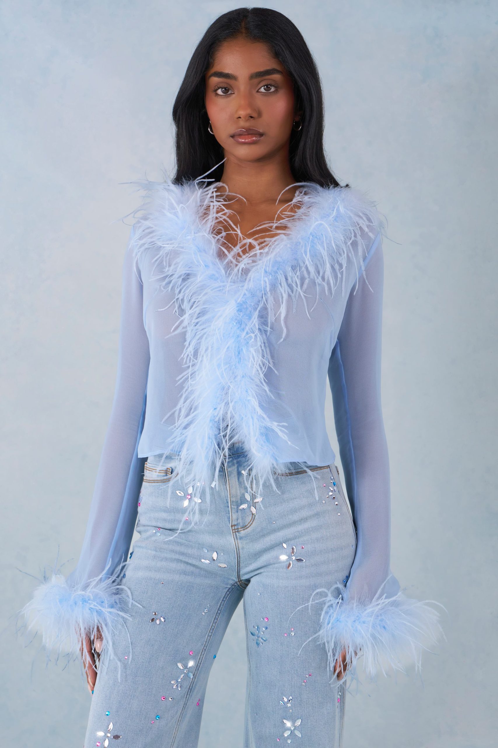 Faux Fur-Trim Sheer Top in Soft Blue - Image 4