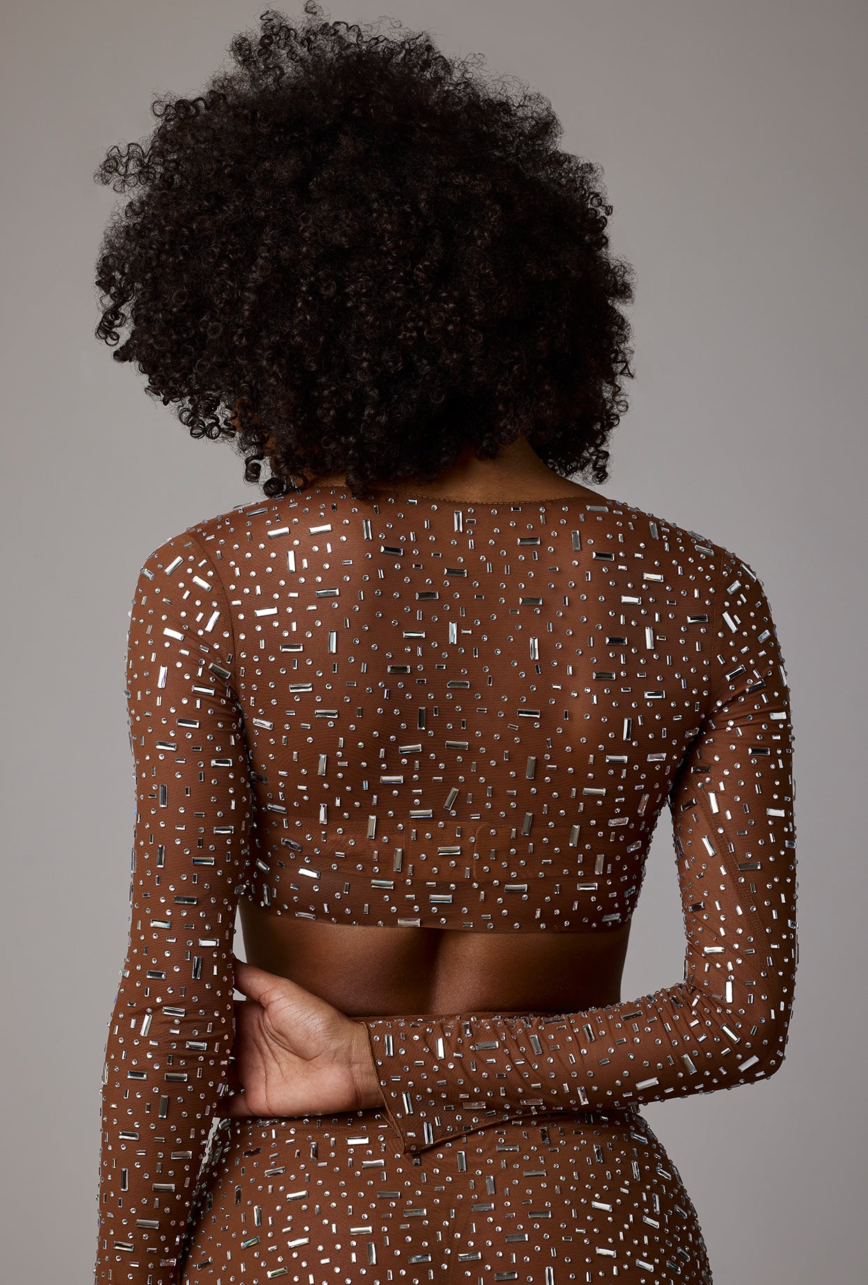 Sheer Embellished Long Sleeve Crop Top in Mocha - Image 2