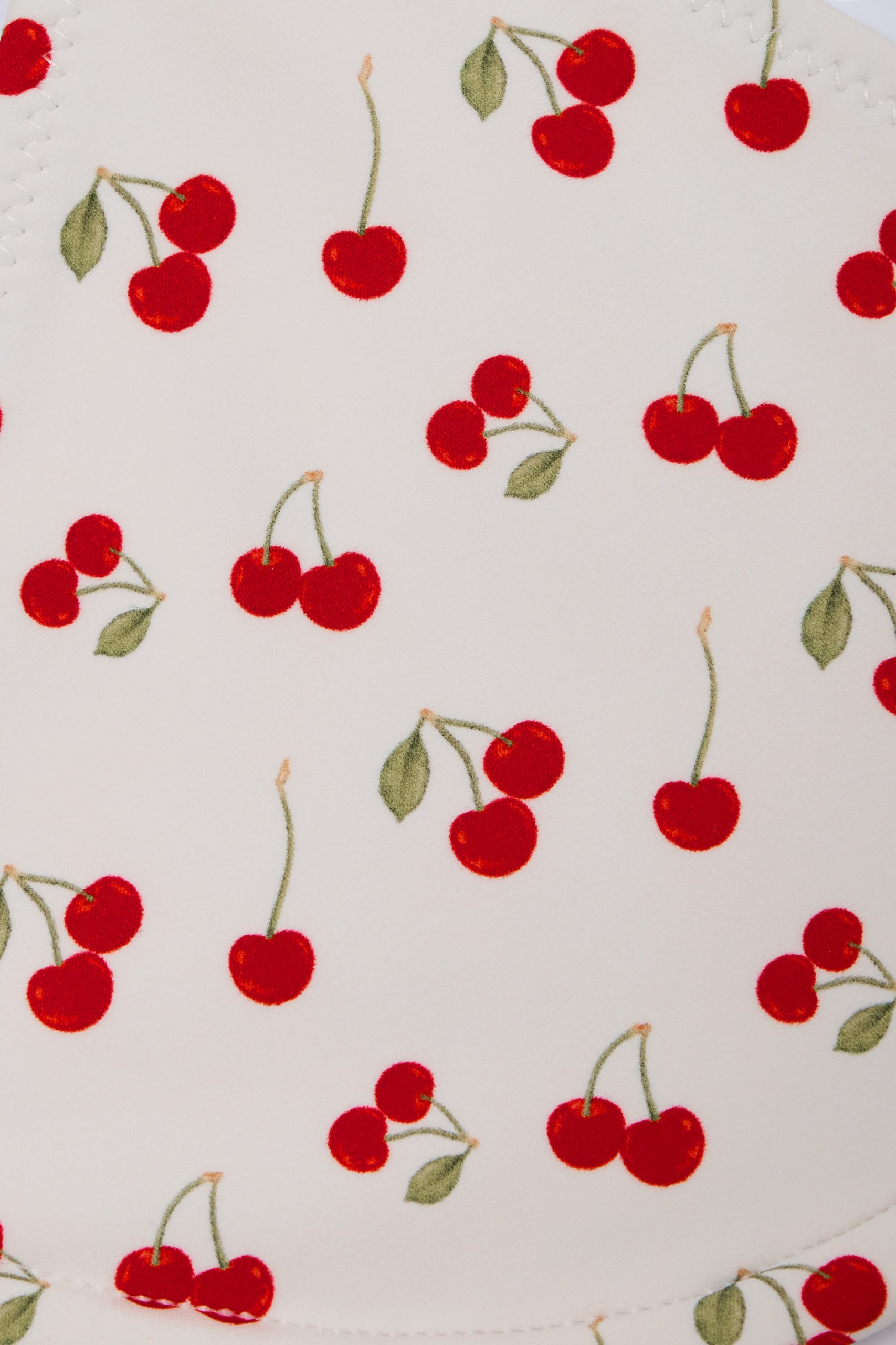 Charm-Detail Triangle Bikini Top in Cherry Print - Image 5